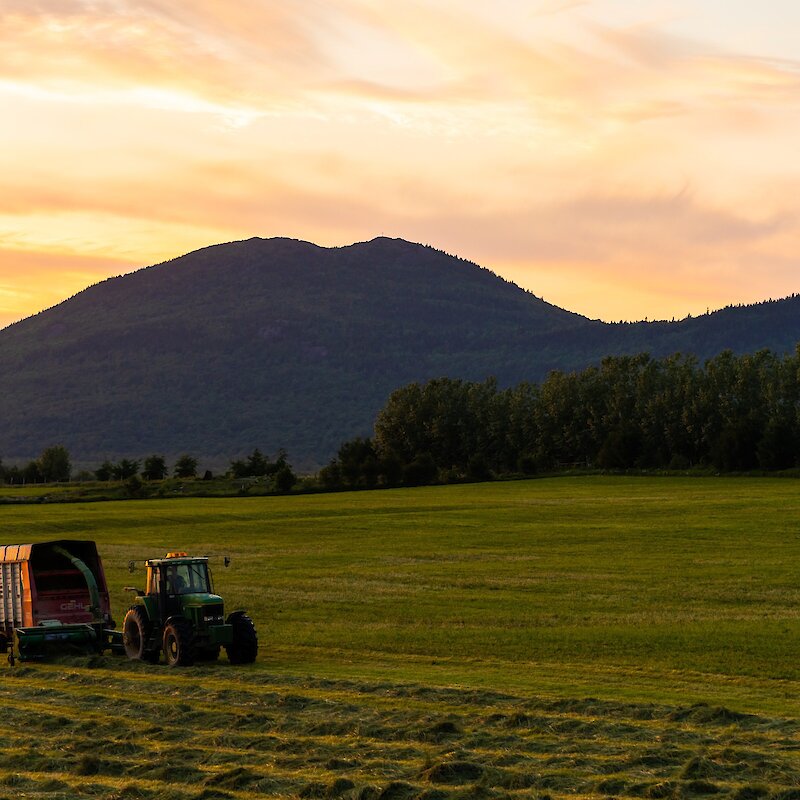 A tractor driving in a field